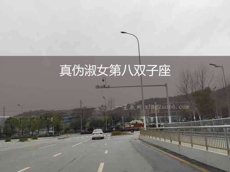 真偽淑女第八雙子座