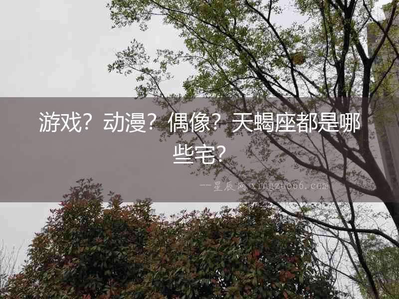 游戲？動(dòng)漫？偶像？天蝎座都是哪些宅？