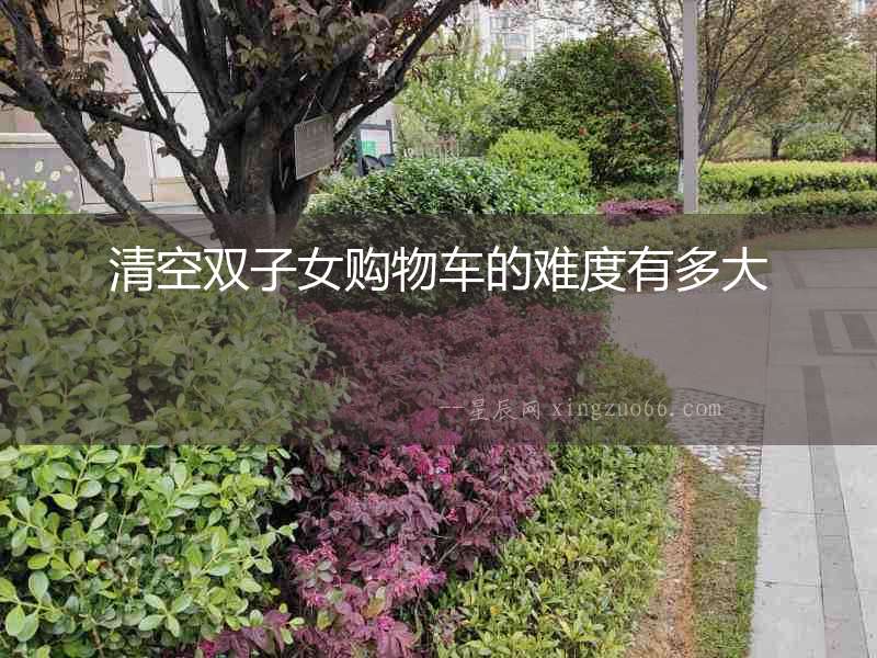 清空雙子女購(gòu)物車的難度有多大