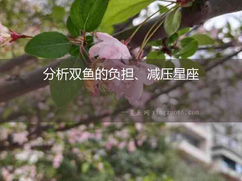 分析雙魚的負擔、減壓星座