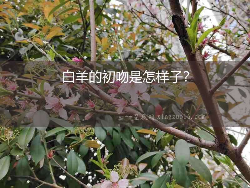 白羊的初吻是怎樣子？