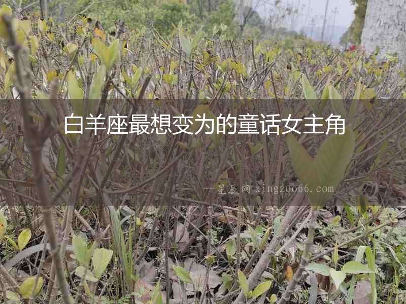 白羊座最想變為的童話女主角