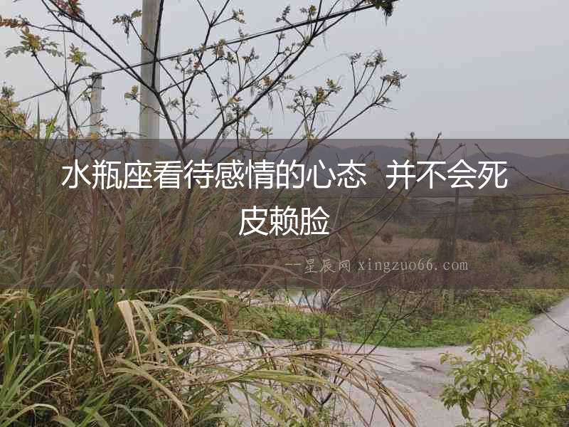 水瓶座看待感情的心態  并不會死皮賴臉
