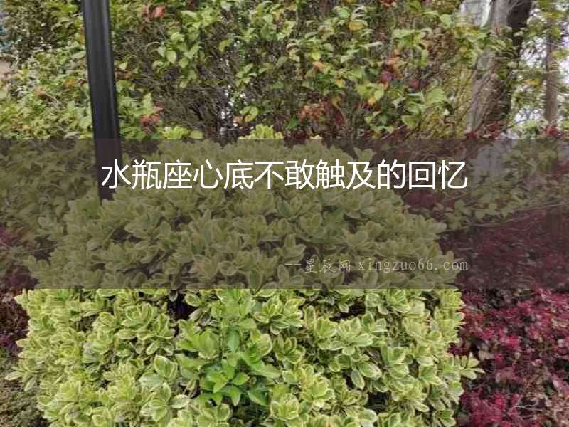 水瓶座心底不敢觸及的回憶