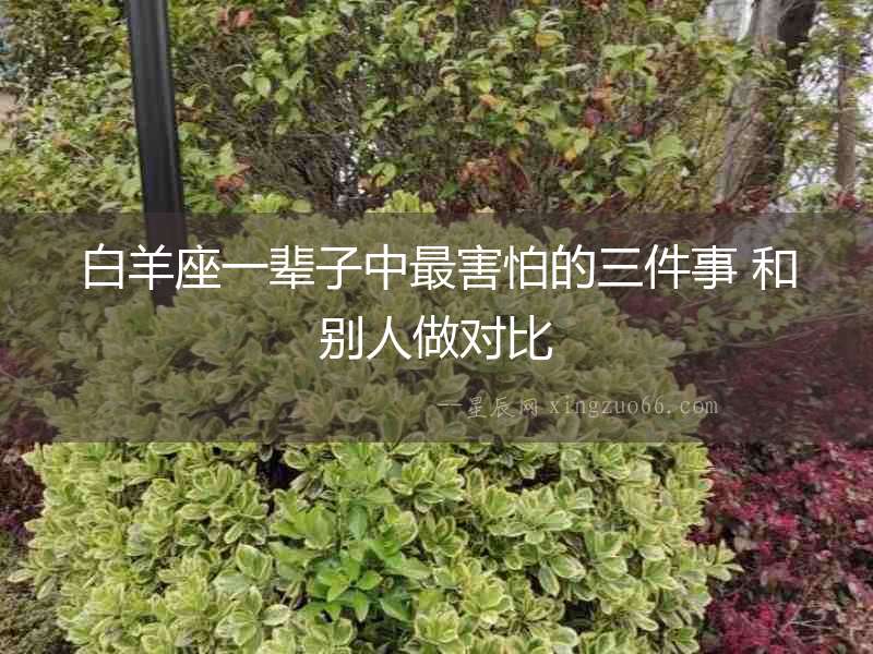 白羊座一輩子中最害怕的三件事 和別人做對比