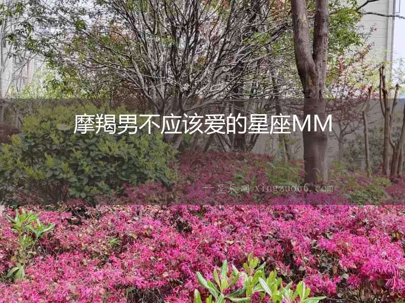 摩羯男不應(yīng)該愛的星座MM