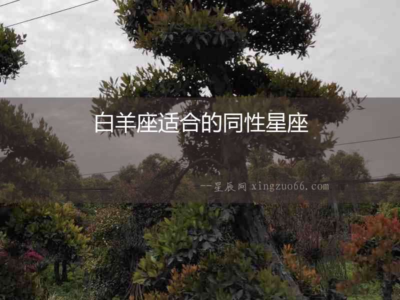 白羊座適合的同性星座