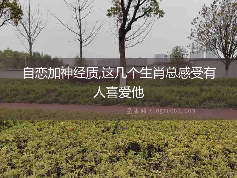 自戀加神經(jīng)質(zhì),這幾個(gè)生肖總感受有人喜愛他