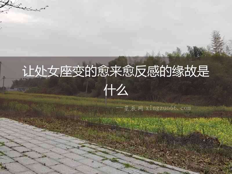 讓處女座變的愈來愈反感的緣故是什么
