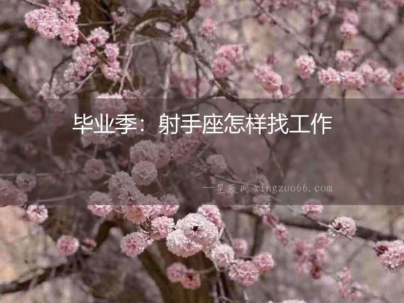 畢業(yè)季：射手座怎樣找工作
