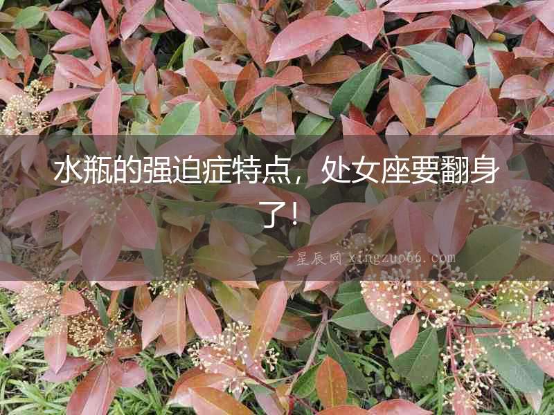 水瓶的強迫癥特點，處女座要翻身了！