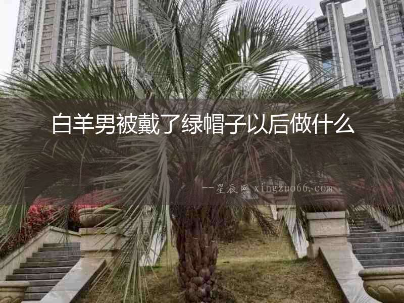 白羊男被戴了綠帽子以后做什么