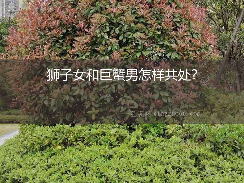 獅子女和巨蟹男怎樣共處？