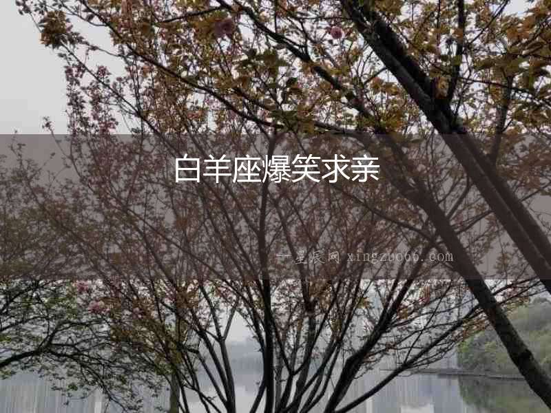 白羊座爆笑求親