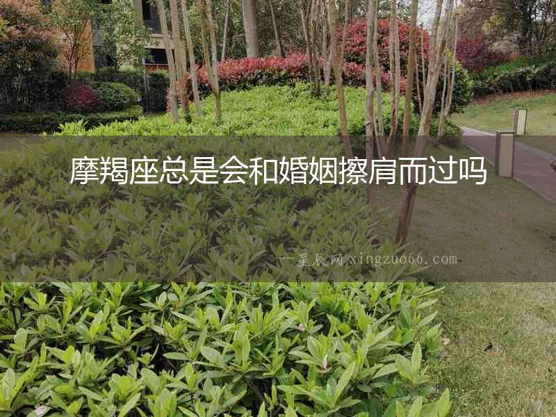 摩羯座總是會和婚姻擦肩而過嗎