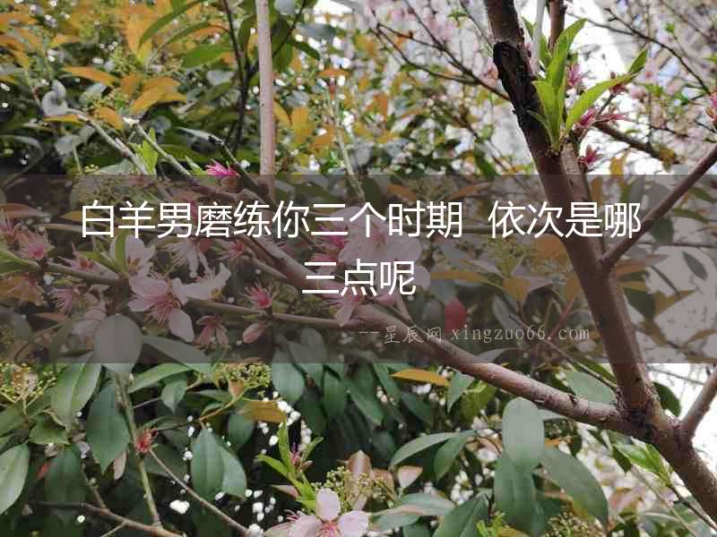 白羊男磨練你三個時期  依次是哪三點呢