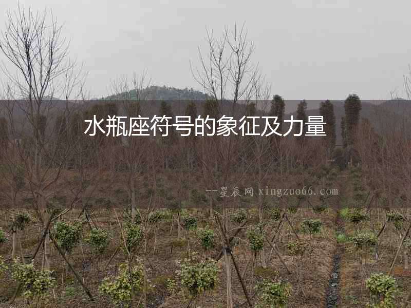 水瓶座符號(hào)的象征及力量