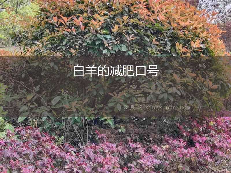 白羊的減肥口號(hào)