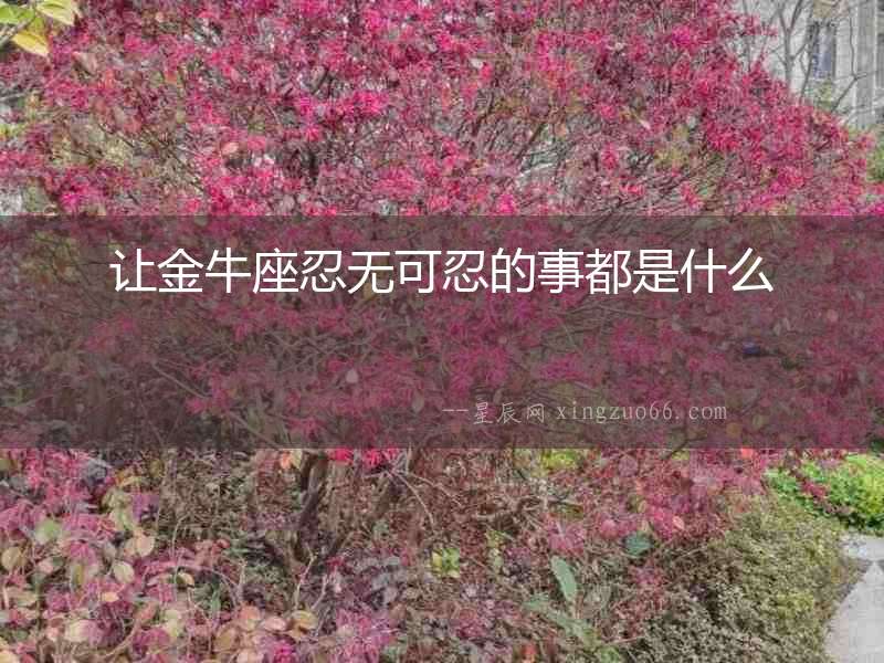 讓金牛座忍無可忍的事都是什么