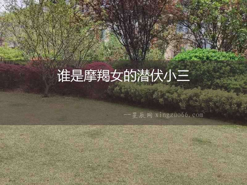 誰是摩羯女的潛伏小三