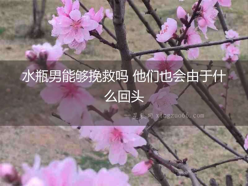 水瓶男能夠挽救嗎 他們也會由于什么回頭