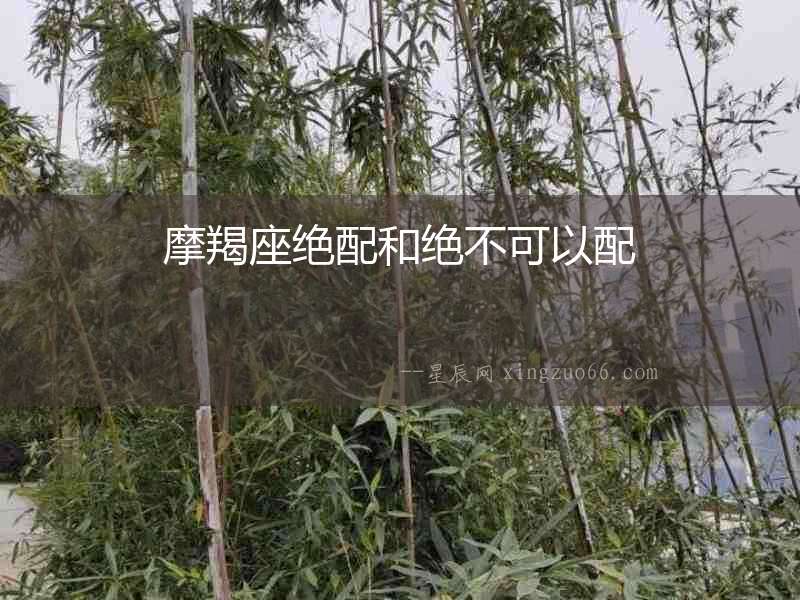 摩羯座絕配和絕不可以配