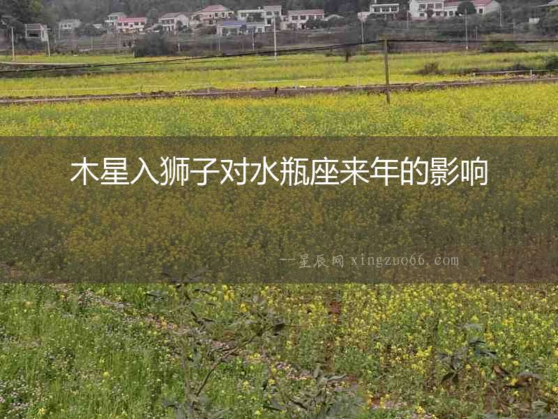 木星入獅子對水瓶座來年的影響
