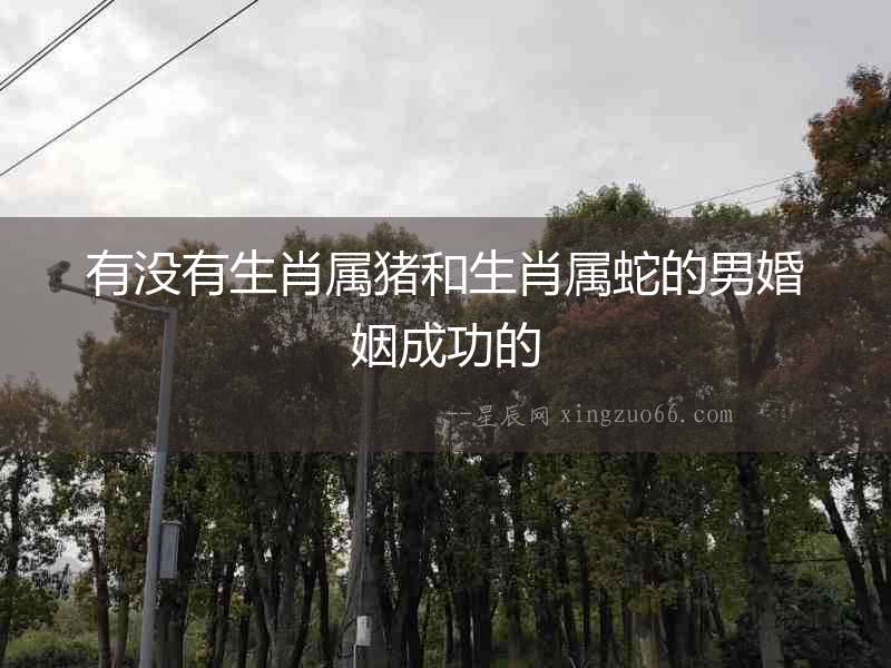 有沒有生肖屬豬和生肖屬蛇的男婚姻成功的