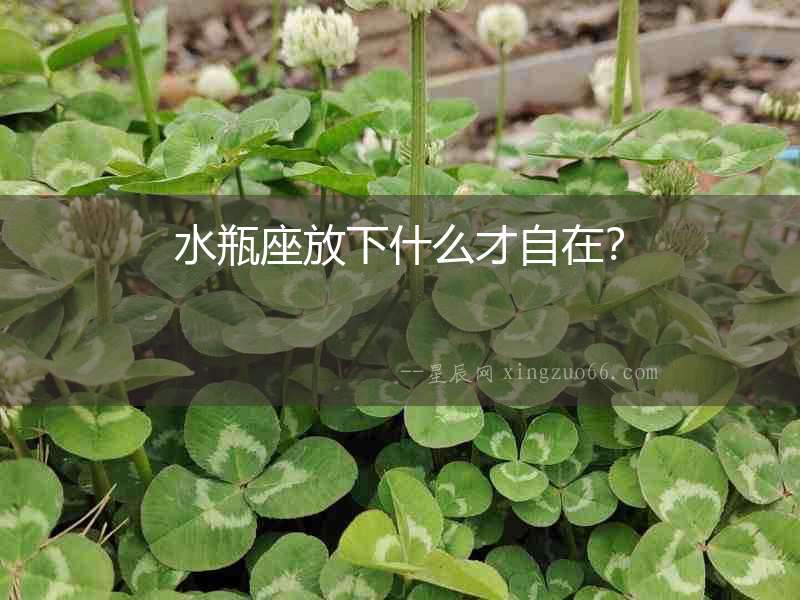 水瓶座放下什么才自在？
