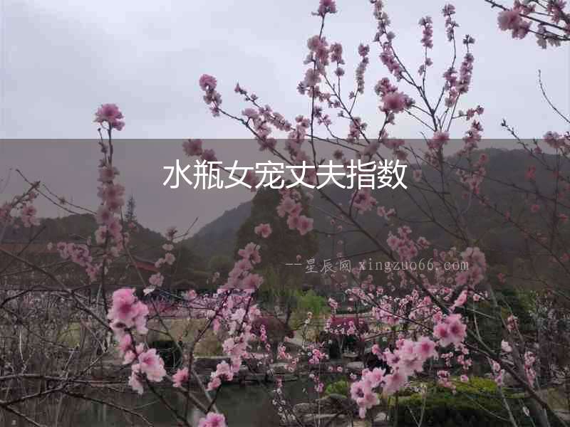 水瓶女寵丈夫指數