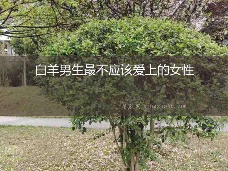 白羊男生最不應(yīng)該愛上的女性