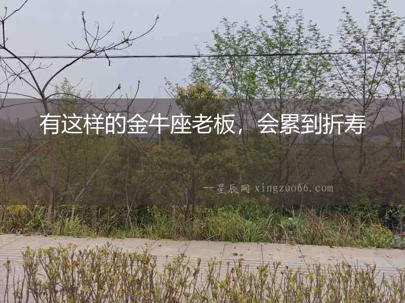 有這樣的金牛座老板，會累到折壽