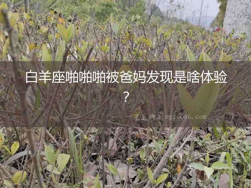 白羊座啪啪啪被爸媽發現是啥體驗？