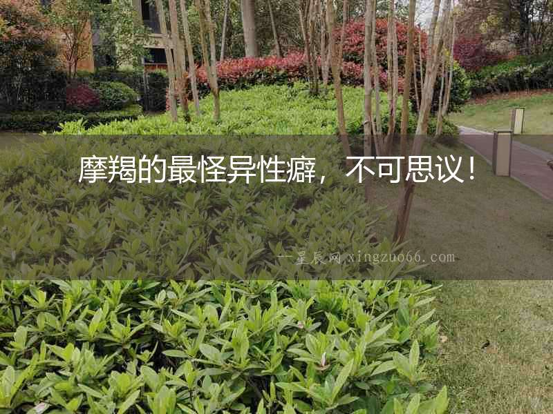 摩羯的最怪異性癖，不可思議！