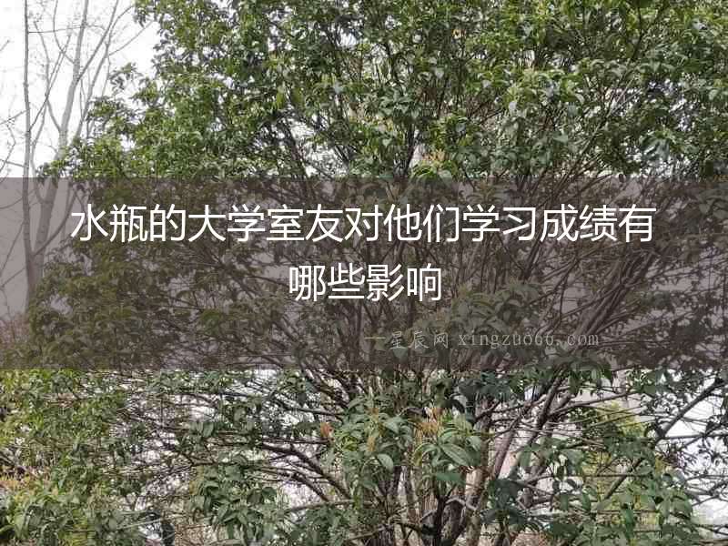 水瓶的大學室友對他們學習成績有哪些影響