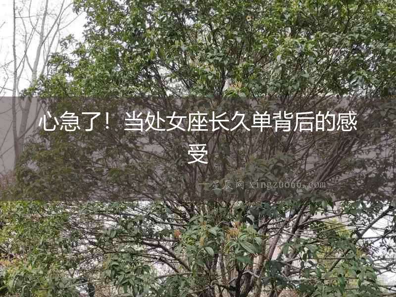 心急了！當處女座長久單背后的感受