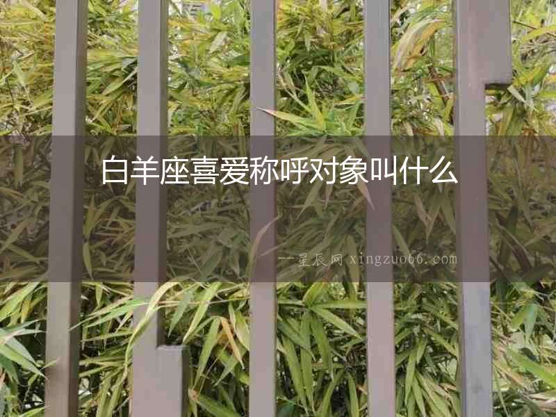 白羊座喜愛稱呼對象叫什么
