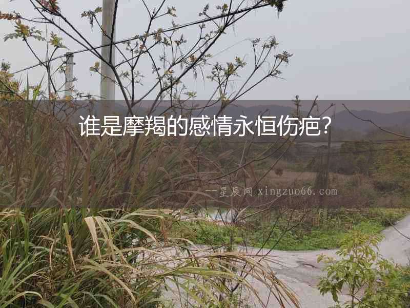 誰是摩羯的感情永恒傷疤？