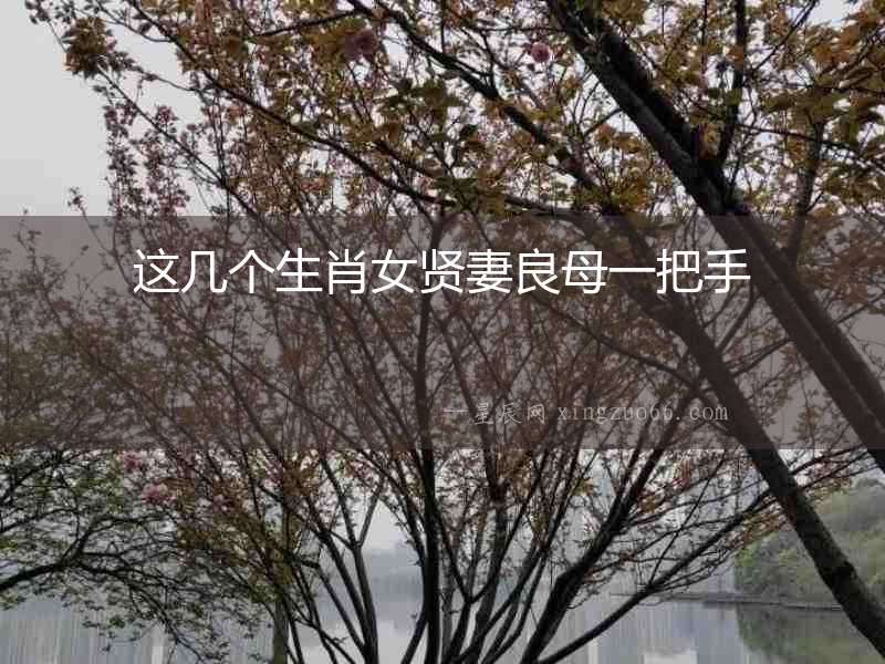 這幾個(gè)生肖女賢妻良母一把手