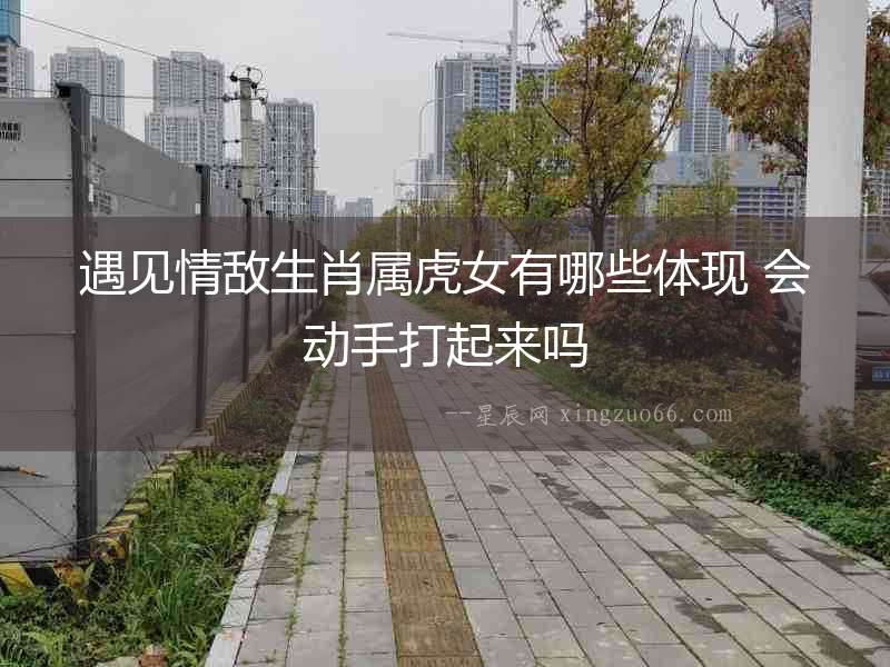 遇見情敵生肖屬虎女有哪些體現 會動手打起來嗎