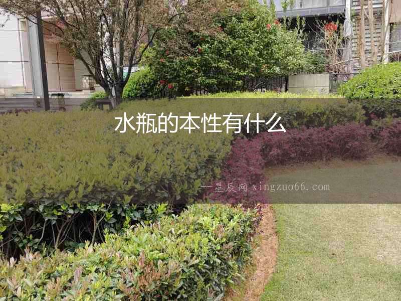 水瓶的本性有什么