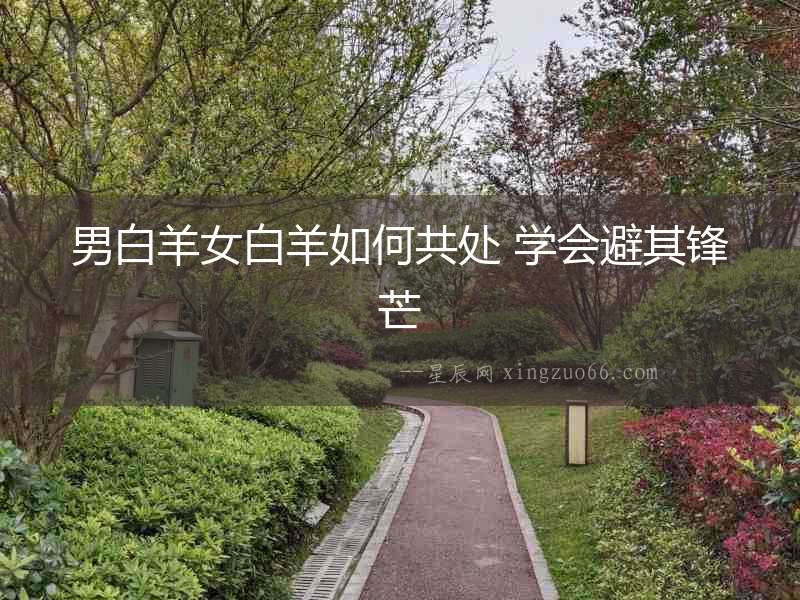 男白羊女白羊如何共處 學會避其鋒芒
