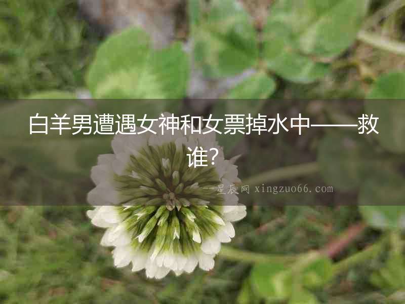 白羊男遭遇女神和女票掉水中——救誰？