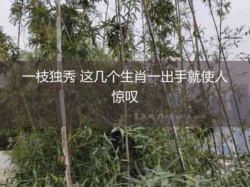 一枝獨秀 這幾個生肖一出手就使人驚嘆
