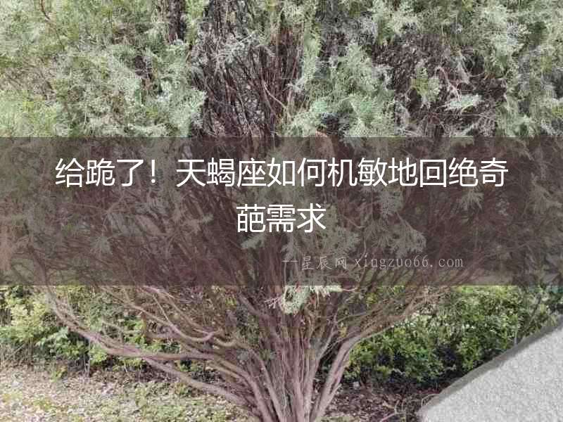 給跪了！天蝎座如何機敏地回絕奇葩需求