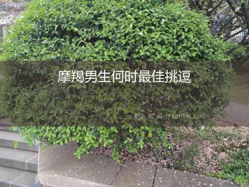 摩羯男生何時最佳挑逗