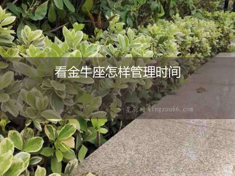 看金牛座怎樣管理時間