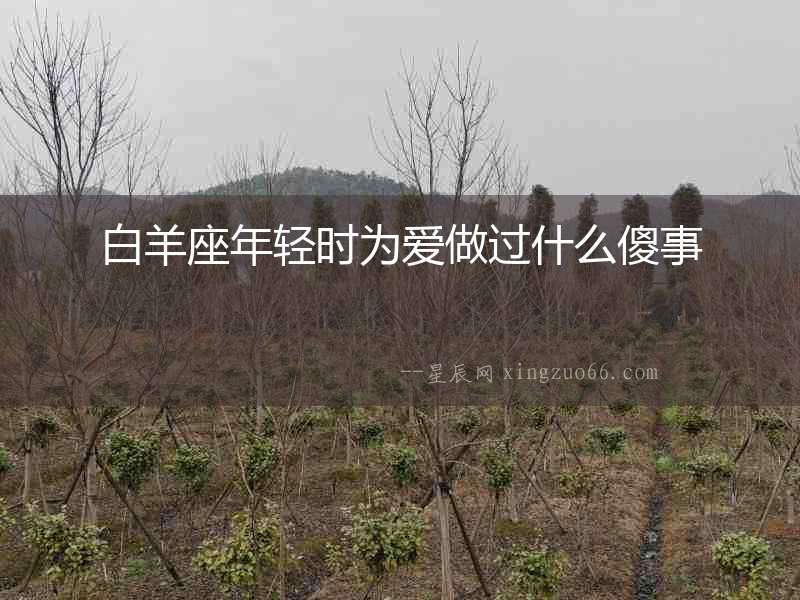 白羊座年輕時為愛做過什么傻事
