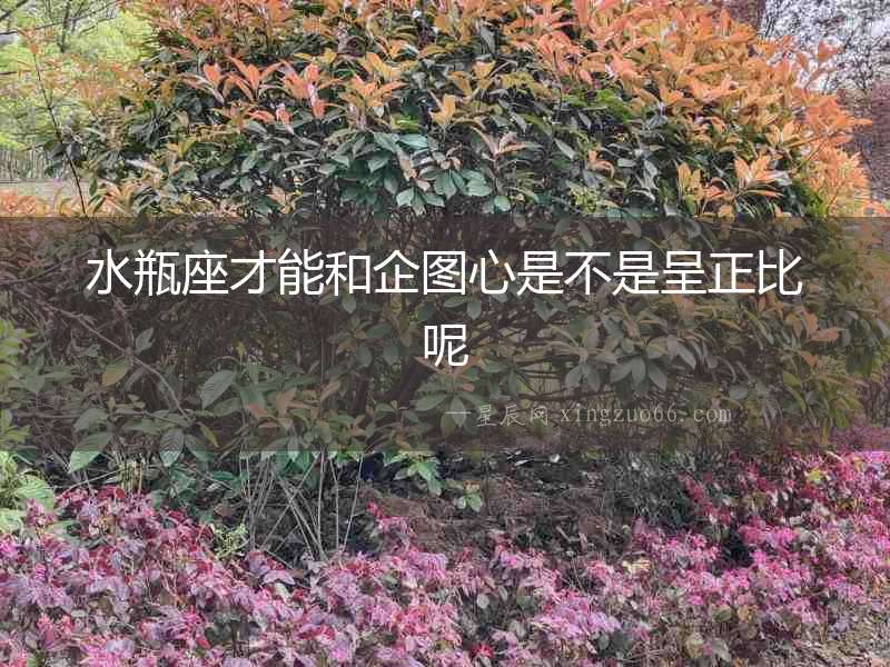 水瓶座才能和企圖心是不是呈正比呢