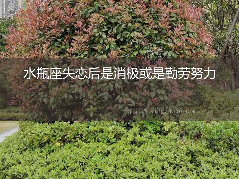水瓶座失戀后是消極或是勤勞努力